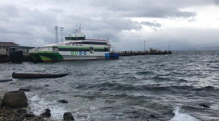 Rüzgar ve yağış ulaşımı olumsuz etkiledi: Bazı feribot seferleri iptal edildi