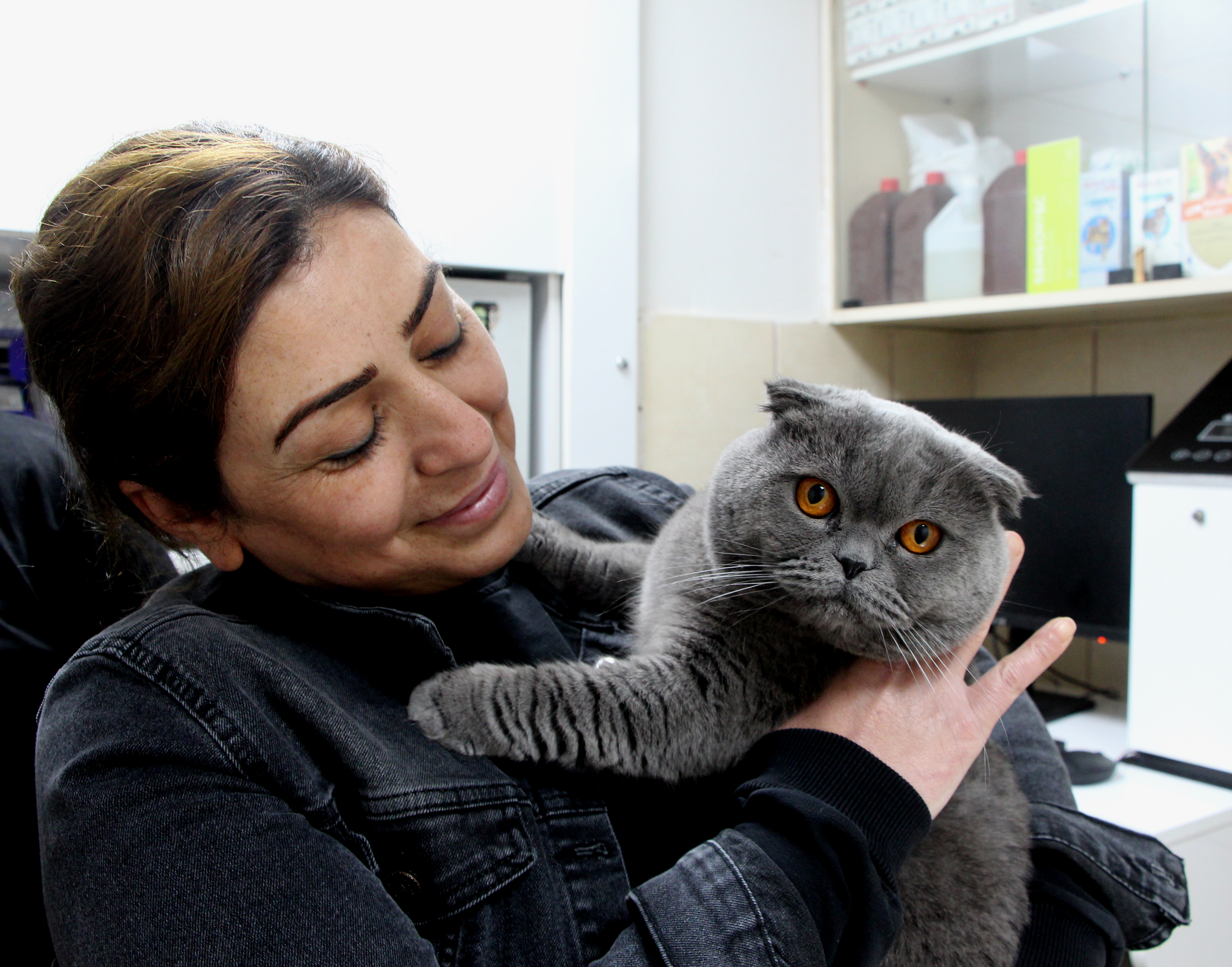 Adanada, 6 milyonda 1 görülen çift cinsiyetli kedi ameliyat edildi - CGTN  Türk