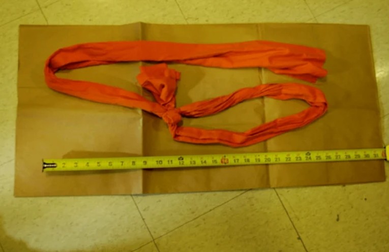 Epstein'ın kendini astığı iddia edilen ip