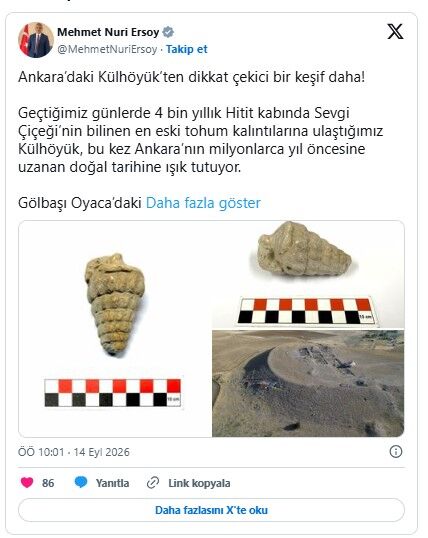 Bakan