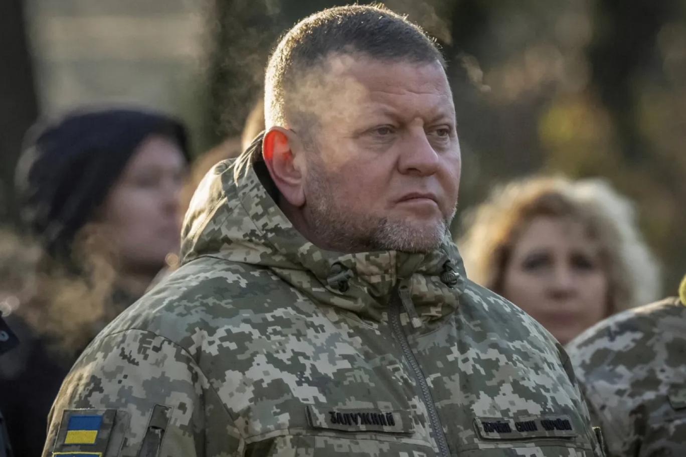 Valerii Zaluzhnyi