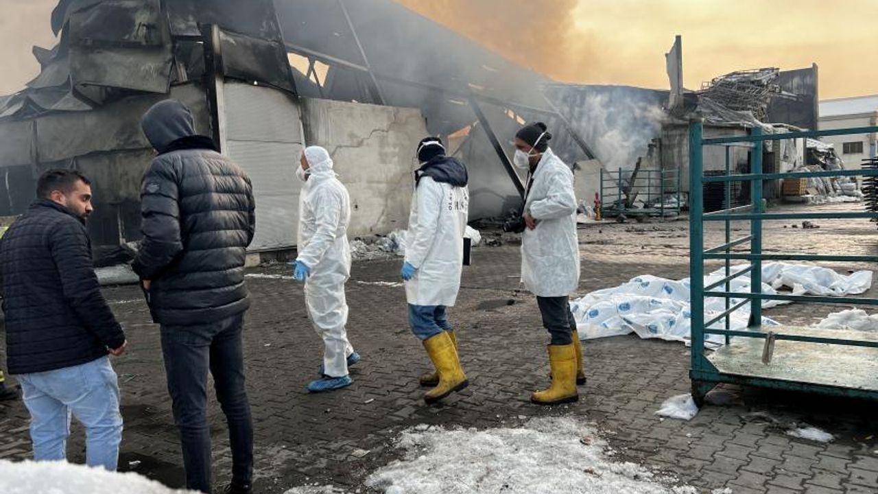 Üç işçinin öldüğü fabrika yangınında genel müdür tutuklandı