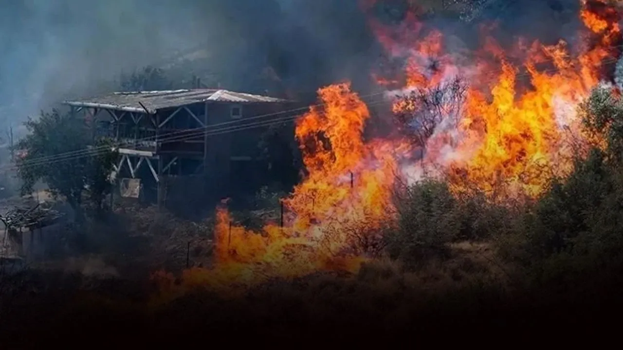 Kaçak kazı yaparken orman yangını çıkaran 5 kişi tutuklandı