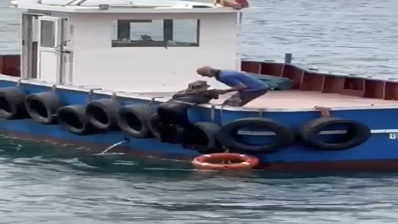 Kartal'da vapurdan denize düşen kadını balıkçılar kurtardı