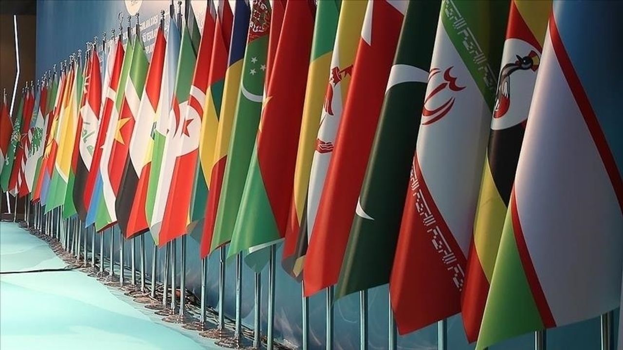 İİT Dışişleri Bakanları Konseyi 51. Oturumu, İstanbul'da yapılacak - CGTN Türk