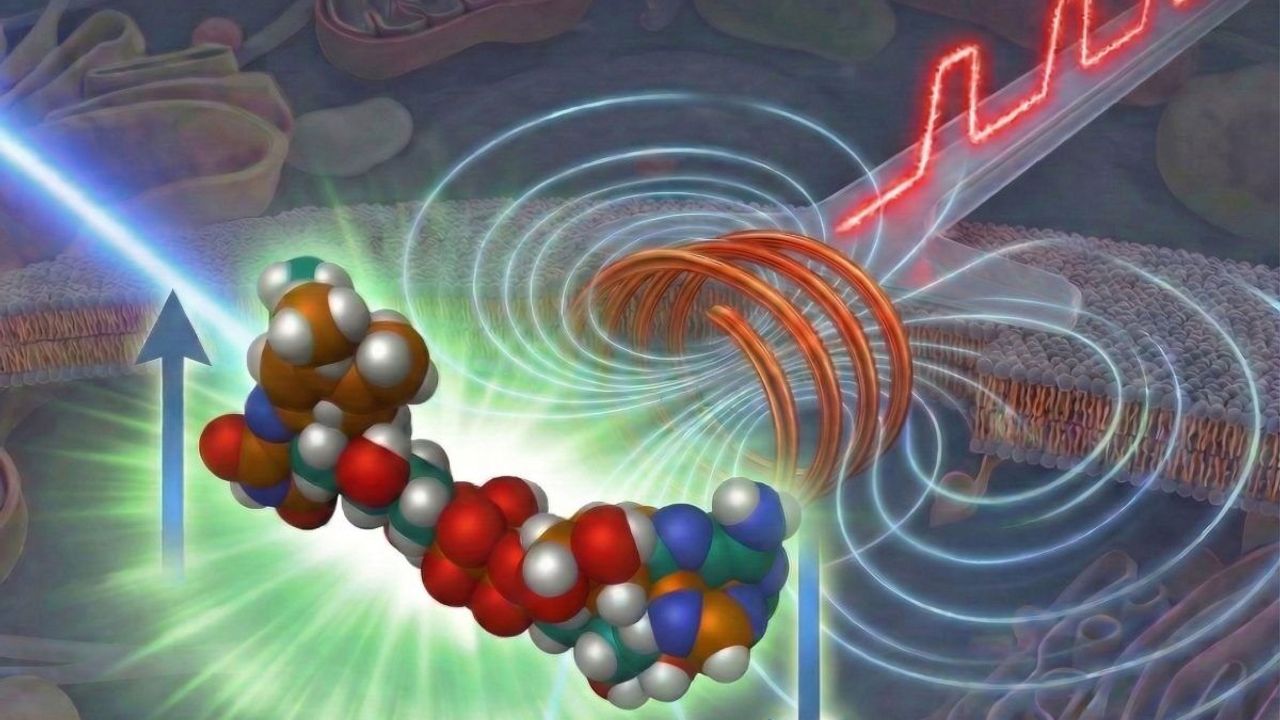 Moleküllerin “görünmeyen” halleri ortaya çıkarıldı