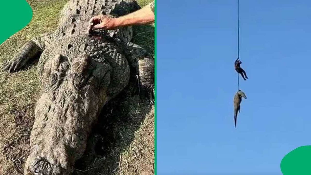Kayıp iş insanı aranıyordu… Dev timsahın midesinden çıktı!