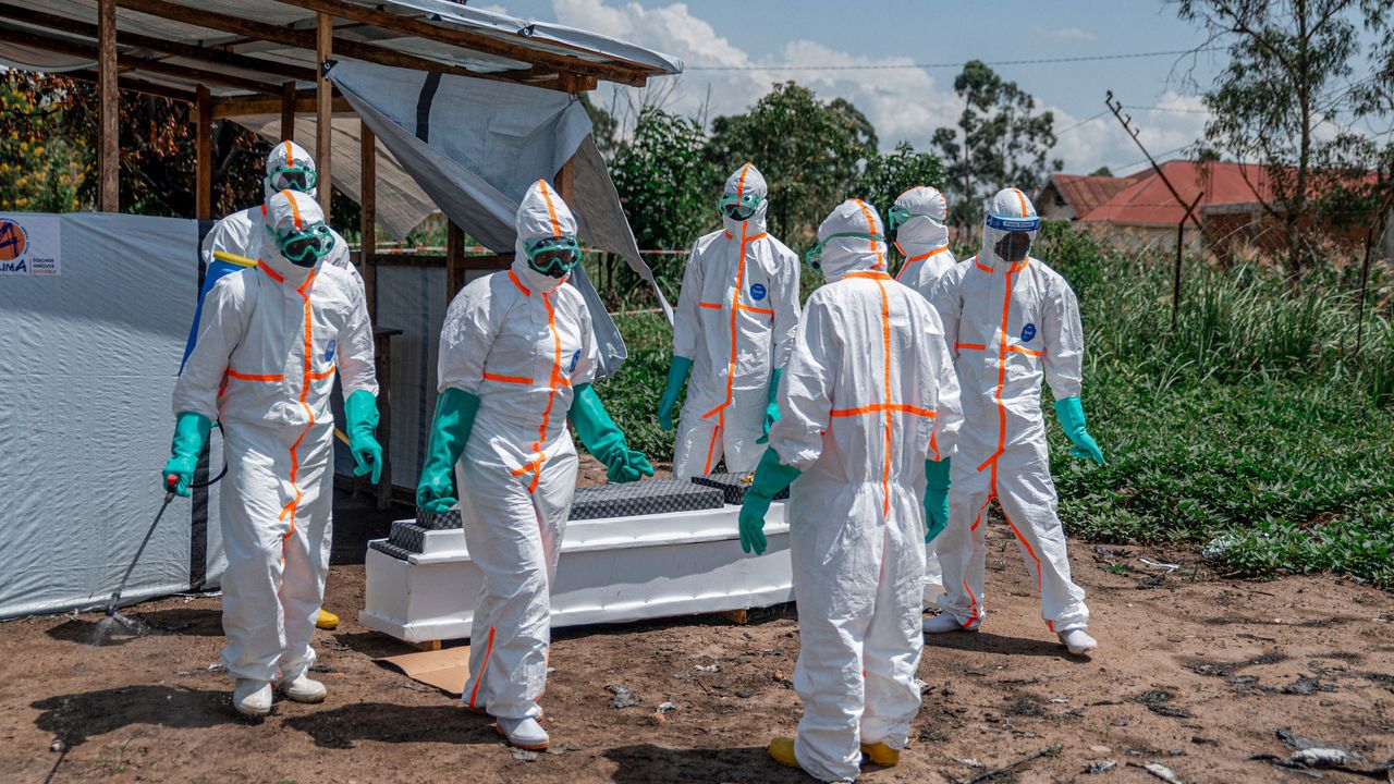 Kongo'da ebola kabusu büyüyor: Vaka sayısı 600'e dayandı