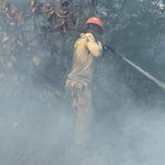 Kaş'ta çıkan orman yangını kontrol altına alındı