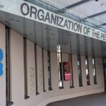 OPEC: 2050 yılında küresel doğal gaz talebi önemli ölçüde artacak