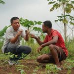 Güney Afrika tarımında Çin işbirliği yeni fırsatlar yaratıyor
