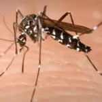 Yunanistan’da Batı Nil virüsü alarmı: Bir haftada 47 yeni vaka