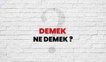 "Turpun büyüğü heybede" ne demek? Erdoğan'dan 'heybedeki turp' çıkışı! Deyimin günlük kullanımı nasıl?