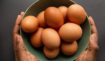 Yumurta yerine ne yenir? Yumurtaya alternatif protein zengini besinler nelerdir? İşte yumurta kadar proteinli besinler!