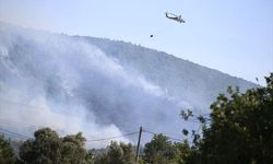 Bodrum'da orman yangını