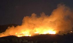 Çanakkale'de orman yangınları