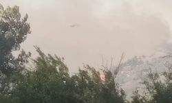 Adana'da orman yangını