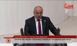 AK Partili Mertoğlu: Hayvanların izni olmadan kısırlaştırma yetkisini nereden alıyorsunuz?