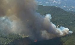 Bergama'da orman yangını