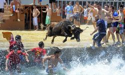 STK'lardan tepki gelmişti: İspanya'da "Boğalar Denize" festivali ilk kez sınırlandırıldı