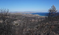 Çeşme'deki yangında 5 gözaltı