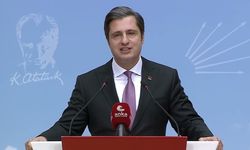 'CHP'li hiçbir belediye sokak hayvanlarına ötanazi uygulamayacak'