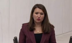 CHP'li Gökçen: 'İstediğiniz kadar katliam yasası çıkartın, biz hiçbir belediyemizle buna ortak olmayacağız'