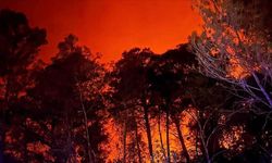 Hırvatistan'da 3 bölgede orman yangınları