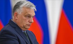 AP milletvekillerinden 'Macaristan' mektubu: 'Oy hakkı geri alınsın'