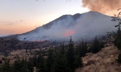 Kahramanmaraş’ta orman yangını