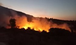 Karaburun'da orman yangını