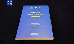 "Çin-ASEAN Ekonomik ve Ticari İşbirliği Görünümü Raporu" yayımlandı