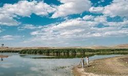 Konya'daki göçmen kuşların uğrak yeri Uyuz Gölü kurudu