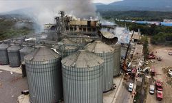 Bakan Işıkhan'dan makarna fabrikasındaki patlamaya ilişkin açıklama