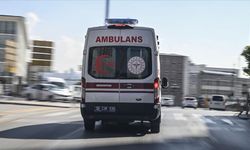 Muş'ta trafik kazasında 1 kişi öldü, 2 kişi yaralandı