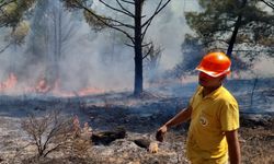 Muğla’da düşen yıldırımlar 50 noktada yangın çıkardı