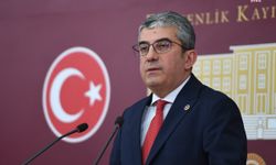 CHP'li Günaydın, 'Yenidoğan çetesini' meclis gündemine taşıdı: 'Denetimlerin verimli işlediği nasıl öne sürülebilir?'