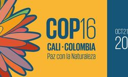 "COP16" Kolombiya'nın Cali kentinde başladı