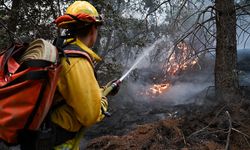 California'daki yangınlarda 1 milyon dönümden fazla alan kül oldu