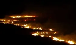 Yüksekova’da kuş cenneti alev alev yandı