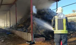 Manisa'da ahır yangını: 7 büyükbaş öldü