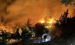 Muğla'da orman yangını sürüyor... Muğla Valisi Akbıyık, "11 vatandaşımızı tahliye ettik"