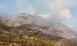 Muğla'daki orman yangınlarına müdahale devam ediyor