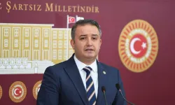 Saadet Partisi Grup Başkanvekili Şahin: "Nevruz, resmi bayramımız olsun"