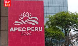 Çin Cumhurbaşkanı Xi, 31. APEC Ekonomi Liderleri Toplantısı'nda konuştu