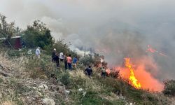 Hatay'da orman yangını: Evler tahliye edildi