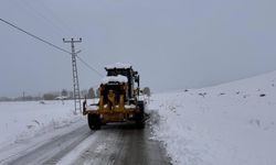 Van'da kardan kapanan 134 yerleşim yerinin yolu açıldı