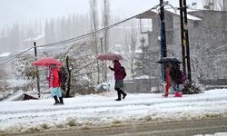 Bitlis'te eğitime kar engeli