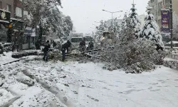 Erzurum'un bazı ilçelerinde eğitime 1 gün ara verildi