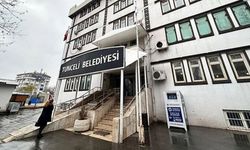 Tunceli ve Ovacık belediyelerine kayyum atandı